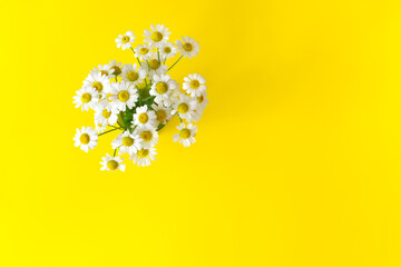 Bouquet Chamomile flowers on a yellow background. Copy space. Horizontal orientation.