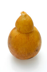 caciocavallo is typical cheese of the southern Italy area and seasoned in grotto and smoked isolated on white background