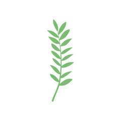 ash tropical leaf icon, flat style