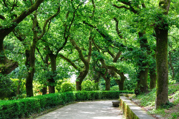 Alameda Park of Santiago de Compostela