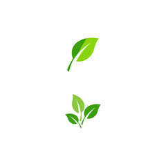Leaf  ecology Logo Template vector