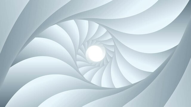 Flying Inside Shell Tunnel Abstract Spiral Swirl Animated Background