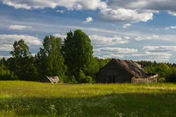 Obraz premium summer landscapes in Latvia