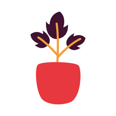 Isolated plant inside pot vector design