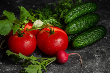 Fresh vegetables on the table. cucumbers, radishes, tomatoes