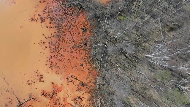 Deforestation. Logging. Environmental problem - destruction of rainforest. Aerial footage of deforestation, logging and palm oil plantations
