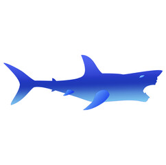 Fototapeta premium Shark with open mouth side view, made in balanced blue shades, located on a white background so it can be easily separated from the background.