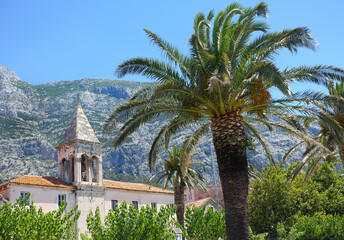 Fototapeta na wymiar Makarska Chorwacja, widok na stare miasto, wieżę, palmę, w tle góry Biokovo
