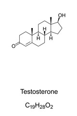Testosterone. Structural formula. The primary male sex hormone. Plays a key role in development of testes, prostate, muscles, bone mass and growth of body hair. Anabolic steroid. Illustration. Vector.