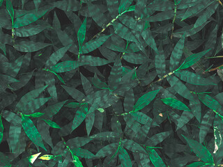 green leaves background
