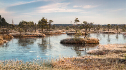 Fototapeta na wymiar the first frosts in Kemeri bog lakes