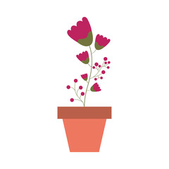 Isolated flower inside pot vector design