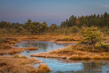 the first frosts in Kemeri bog lakes
