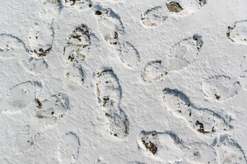 Footprints of shoes on fresh snow. White thin layer of first snow.  Concept of winter season.