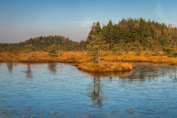 Colorful autumn day in the Kemeri moor