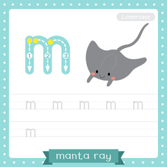 Letter M lowercase tracing practice worksheet of Cute Manta ray