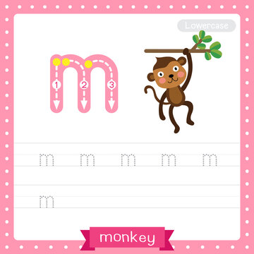 Letter M lowercase tracing practice worksheet of Monkey