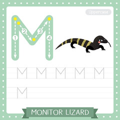 Letter M uppercase tracing practice worksheet of Monitor lizard