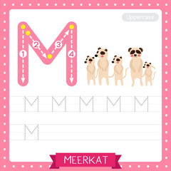 Letter M uppercase tracing practice worksheet of Standing Meerkat family group