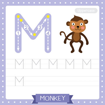 Letter M uppercase tracing practice worksheet of Monkey