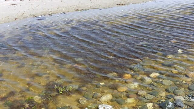 Baltic Sea. Storm. Windy. Park. Stream.