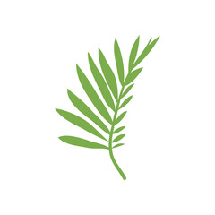 areca plam leaf icon, flat style