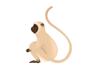 Cute vervet monkey sitting on the ground beige monkey with brown face cartoon animal design flat vector illustration isolated on white background