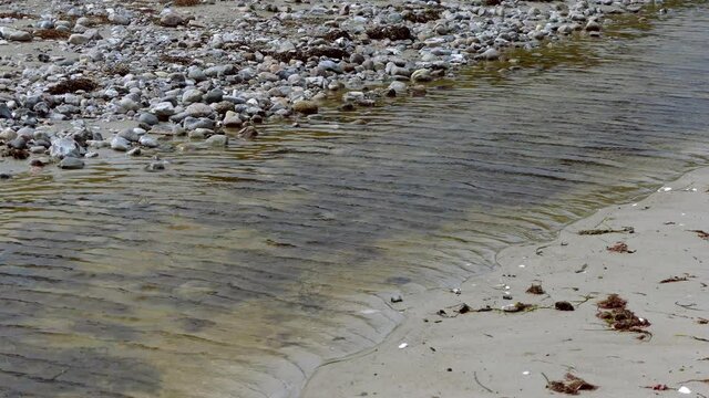 Baltic Sea. Storm. Windy. Park. Stream.