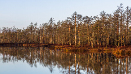 Colorful autumn day  in the Cenas moor