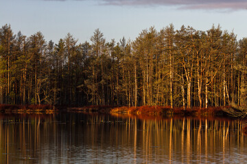 Colorful autumn day  in the Cenas moor
