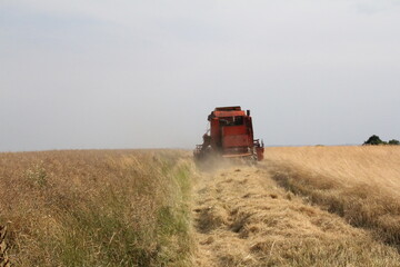 Fototapeta premium tractor working in the field, mowing grain, old tractor at work, countryside, farmer's work