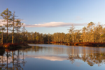 Colorful autumn day  in the Cenas moor