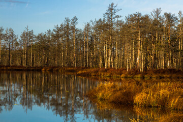 Colorful autumn day  in the Cenas moor