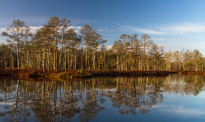 Colorful autumn day  in the Cenas moor