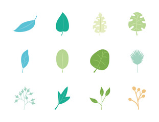 palm leaves and tropical leaves icon set, flat style