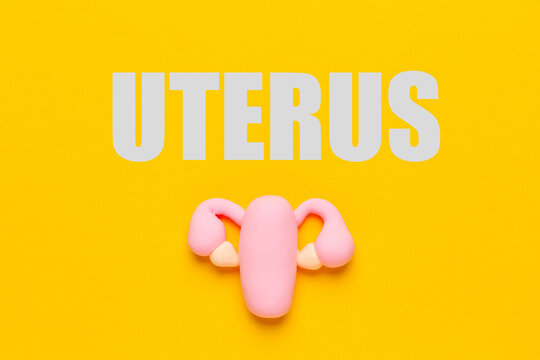 Female uterus on yellow background. Gynecological examination, infertility treatment. Reproductive system diseases.