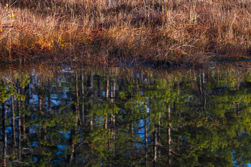 Colorful autumn day  in the Cenas moor