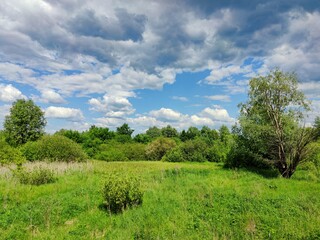 Fototapeta na wymiar beautiful blue sky with stormy gloomy clouds over a green meadow and trees