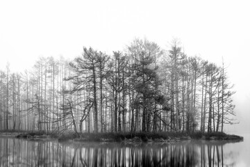 Foggy autumn morning cenas moor with reflections in a swamp lake