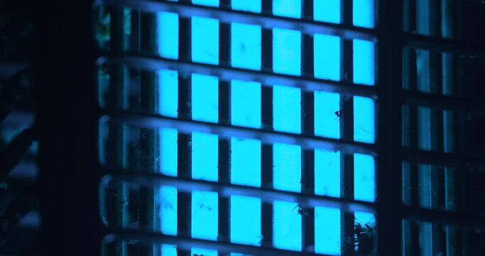 Flying Insect Quickly Killed In A Bug Zapper