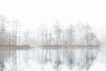 Foggy autumn morning cenas moor with reflections in a swamp lake