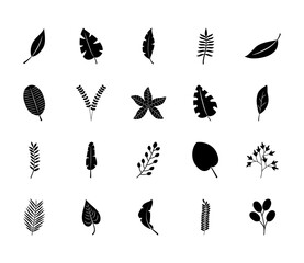 palm leaf and tropical leaves icon set, silhouette style