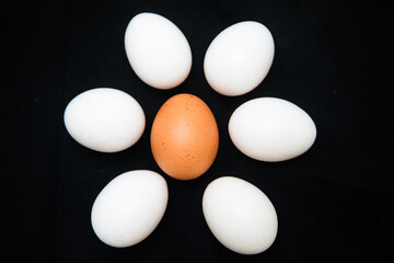 Eggs in black background