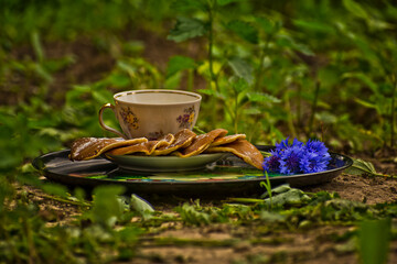 Breakfast in the forest