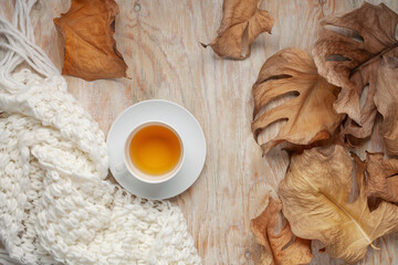 Cup of tea with autumn leaves Monstera. Top view.