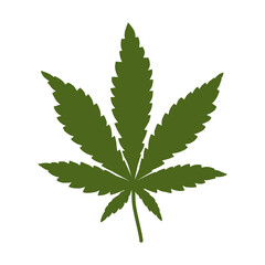 Cannabis leaf, marijuana isolated over white background