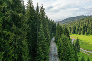 Fototapeta na wymiar Drone photograph with a mountain biker through a pine forest cycling on a gravel road. Adventure cycling concept.
