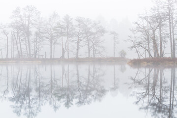 Obraz na płótnie Canvas Foggy autumn morning cenas moor with reflections in a swamp lake