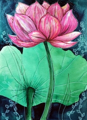 Original watercolor painting of aquatic plants of lotus