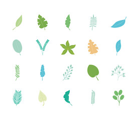 palm leaf and tropical leaves icon set, flat style
